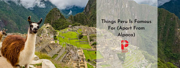 Things Peru Is Famous